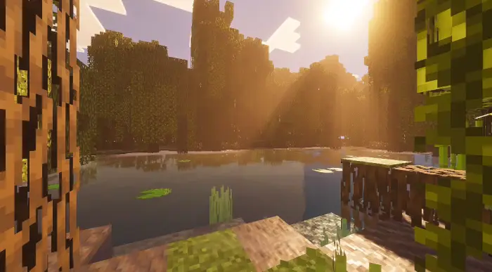 Sun rays and reflections on a forest lake