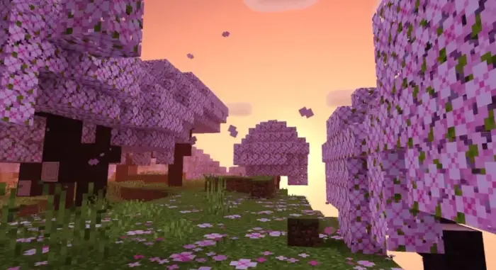 Blocky cherry blossom trees at sunset