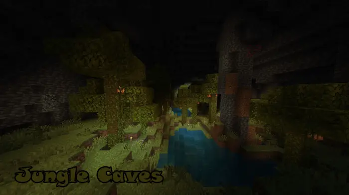 Underground jungle biome with lush plants