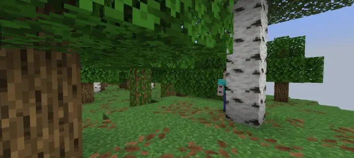 A strange figure hides behind a birch tree.