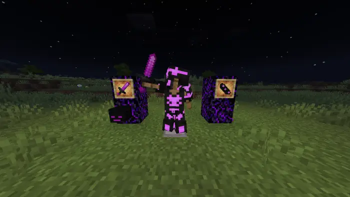 Player in purple fused armor with sword