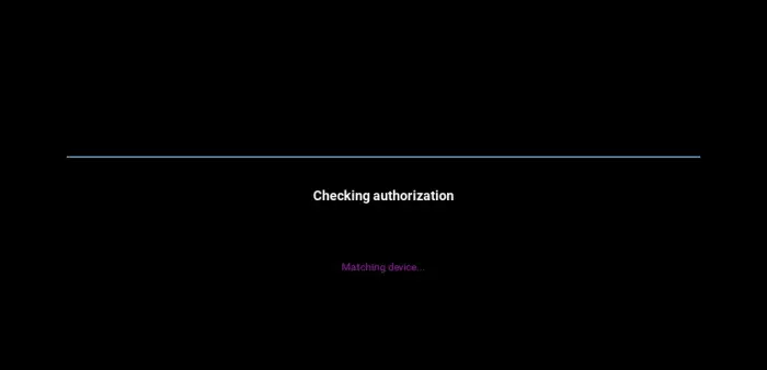 Authorization check screen with progress bar.