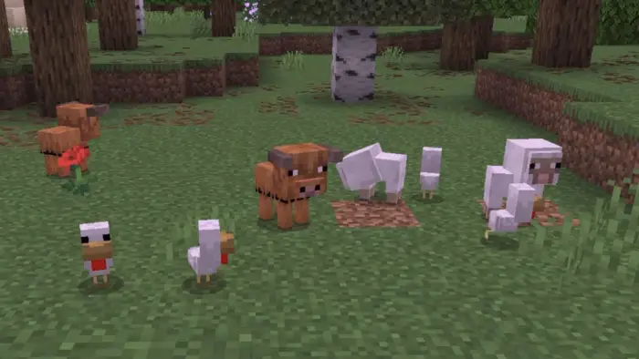 Baby animals in a grassy forest clearing