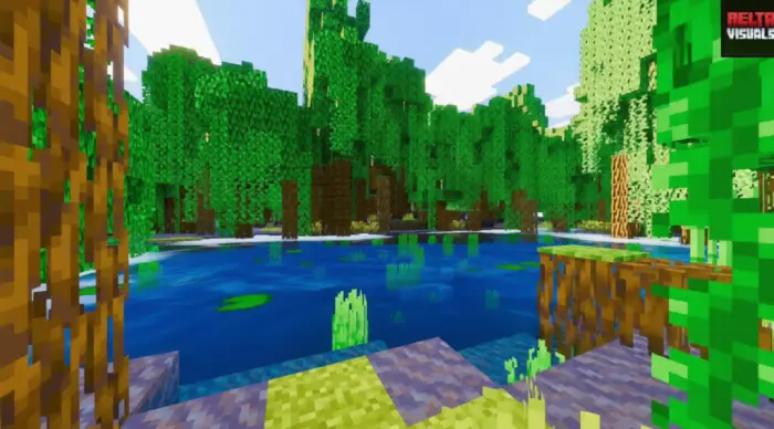 Vivid water reflections in lush forest scene