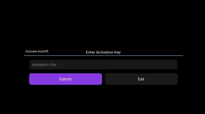 Activation key entry screen for AutoPE tool