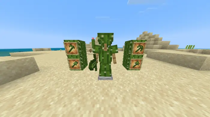 Cactus-themed armor and tool display