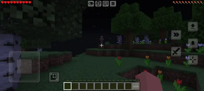 Dark forest with strange figures at night.