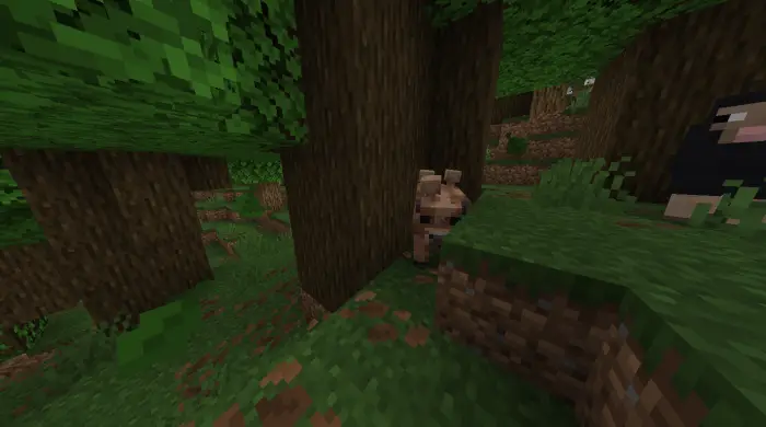 Rare mob appears in a forest biome