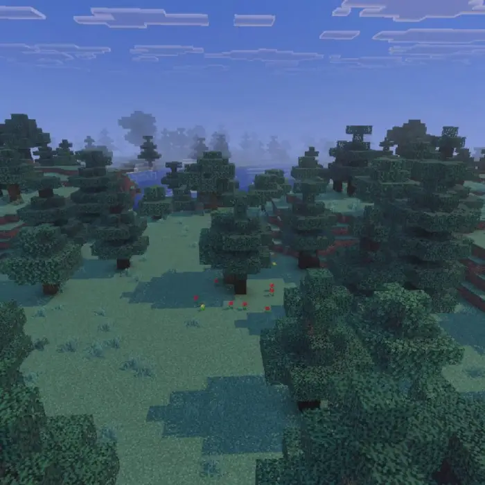 Dense, blocky spruce forest landscape.