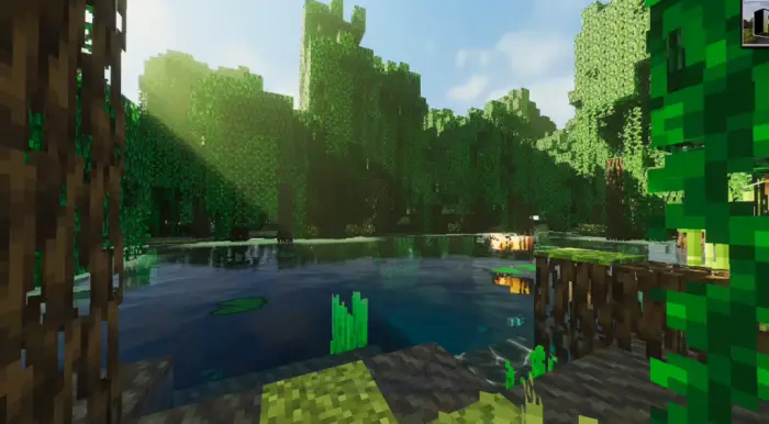 Lush forest with realistic water reflections