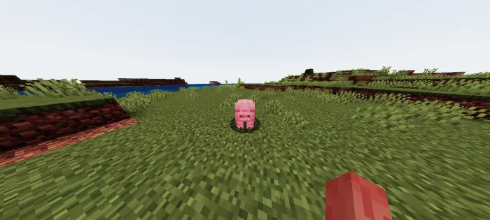 Pig stares directly at player on grassy field