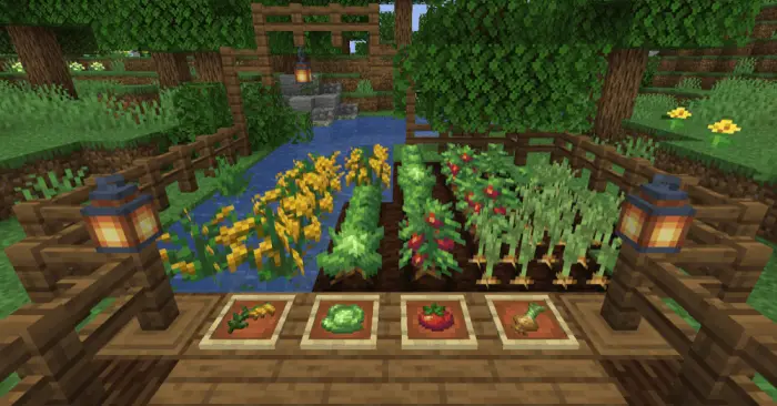 Vegetable garden with crops and lanterns
