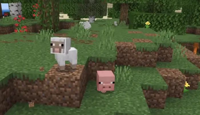 Baby sheep and pig on grassy terrain