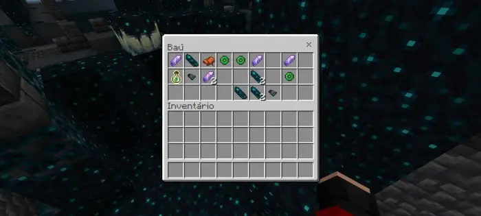 Chest with rings and special items shown