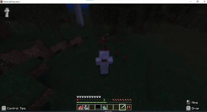 Player in iron armor stands in dark forest