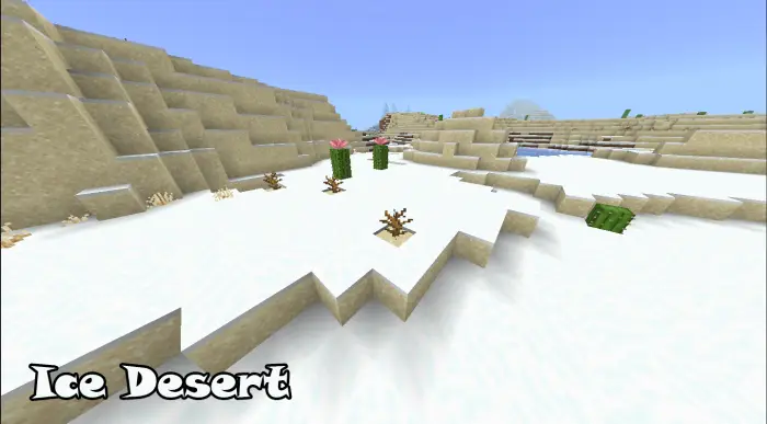 Snow-covered desert with cacti and dead bushes.