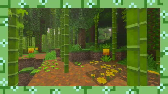 Dense bamboo forest with lush greenery