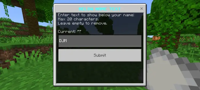 Text box for entering custom name tag