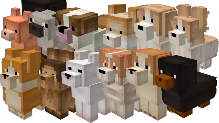 Blocky dogs in various colors and breeds