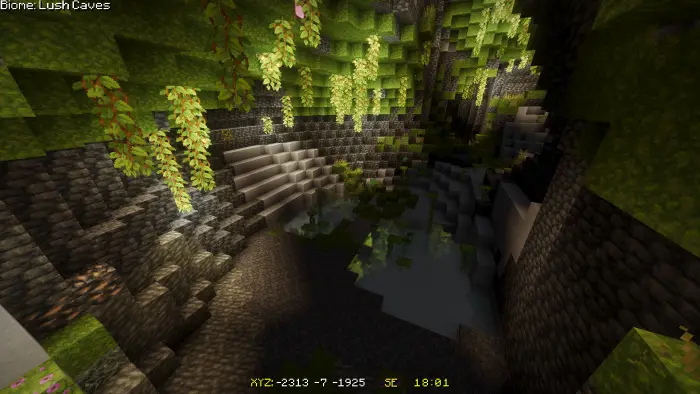 Lush cave with vines and glowing light