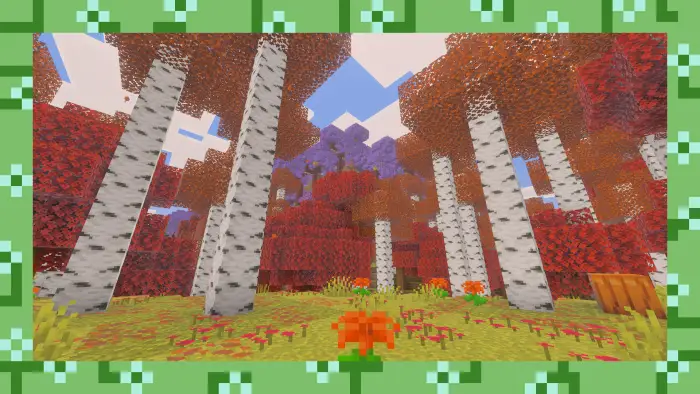 Colorful birch forest with vibrant flowers