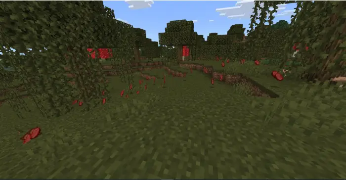 Cooked meat scattered in a grassy forest.