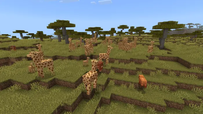 Blocky giraffes roam a savanna landscape