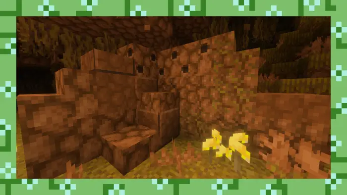 Rocky terrain with yellow flowers and plants