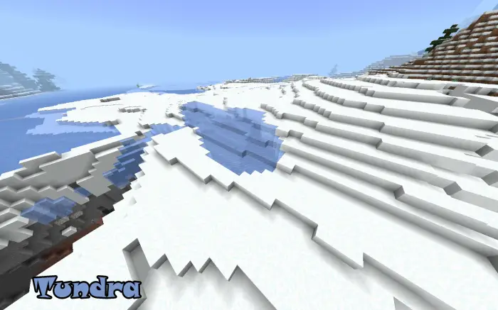 Snowy tundra biome with icy terrain.
