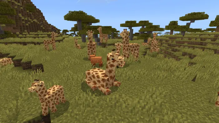 Blocky giraffes in a savanna landscape
