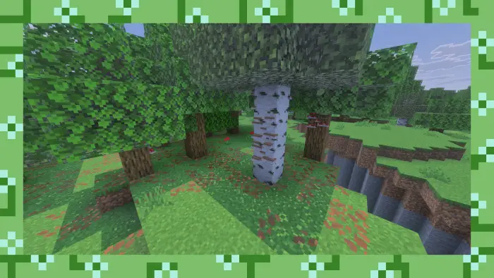 Lush forest biome with birch and oak trees