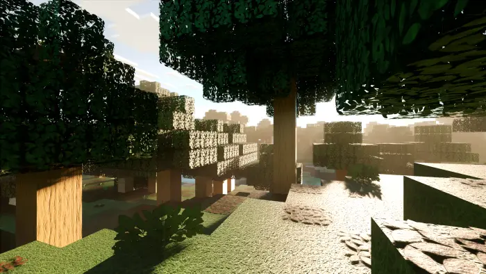 Realistic forest with sunlight and shadows