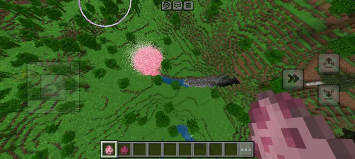 Aerial view of swirling cherry blossom petals