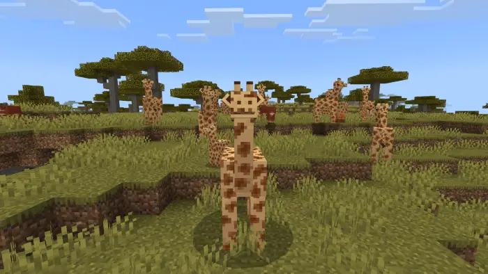 Blocky giraffes standing on grassy plains