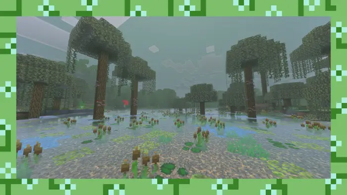 Misty swamp biome with tall trees and plants
