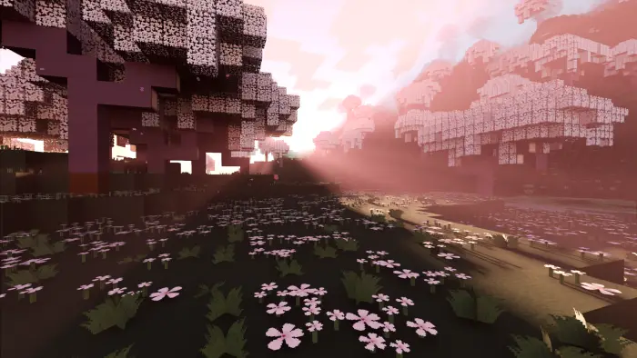 ALT Pink trees and flowers with soft sunlight