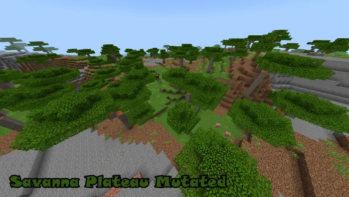 Savanna plateau with trees and hills