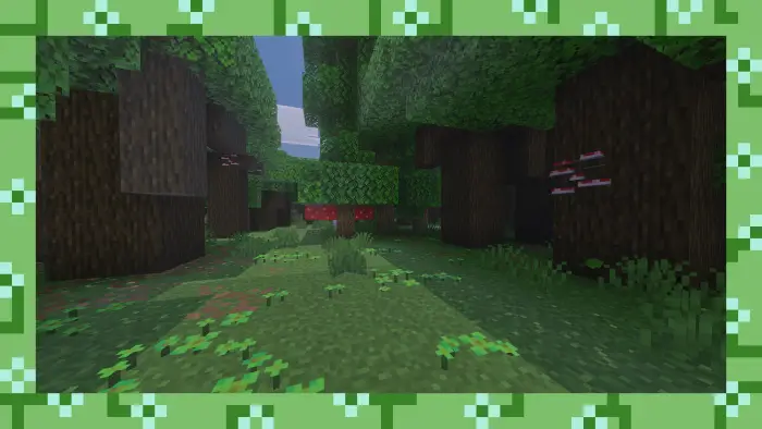 Dense forest biome with mushrooms and greenery