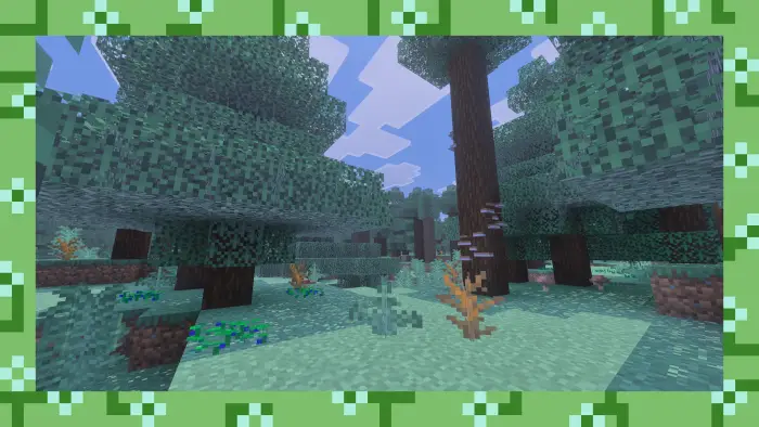 Dense forest biome with lush new plants