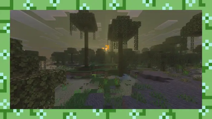 Dense swampy forest at sunset with lush plants