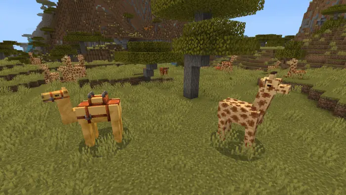 Blocky giraffes and a camel in savanna biome