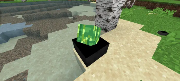 New enchanting table near water and tree