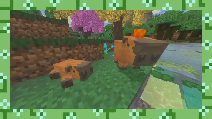 Two blocky orange animals near water