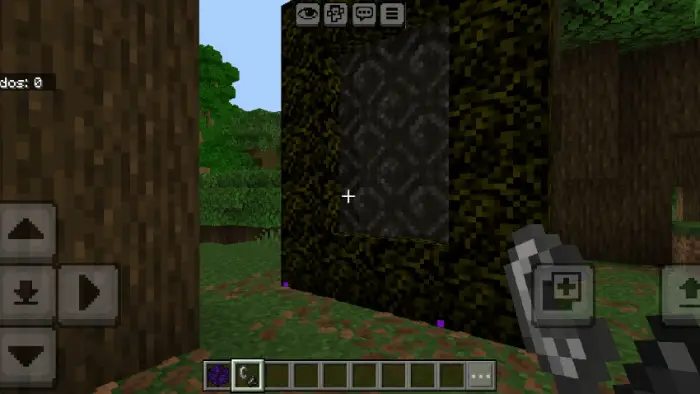 Dark portal frame surrounded by forest trees.