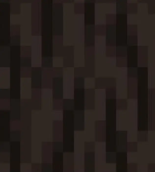 Dark pixelated texture with vertical streaks.