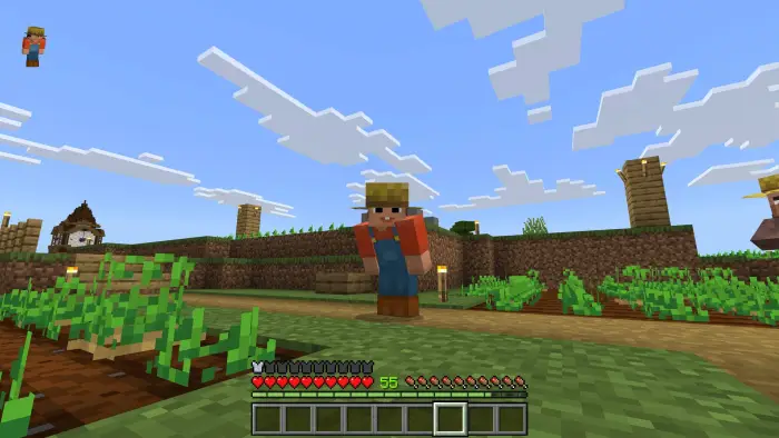 ALT Farmer tending crops in blocky field