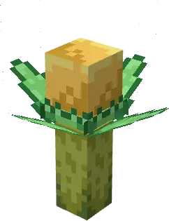 Blocky yellow flower Pok&eacute;mon with green leaves