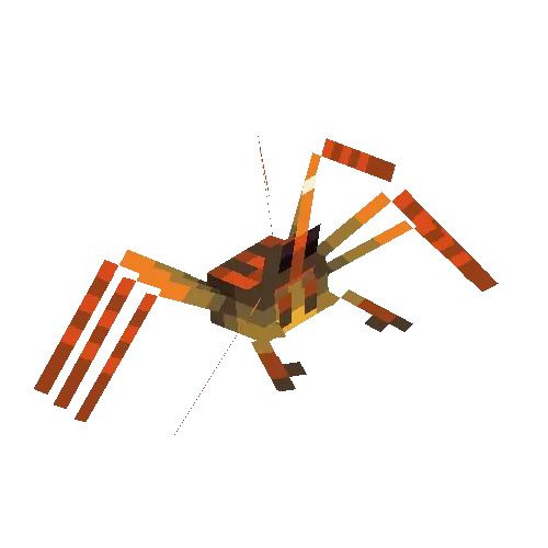 Blocky orange arrow crab with long legs