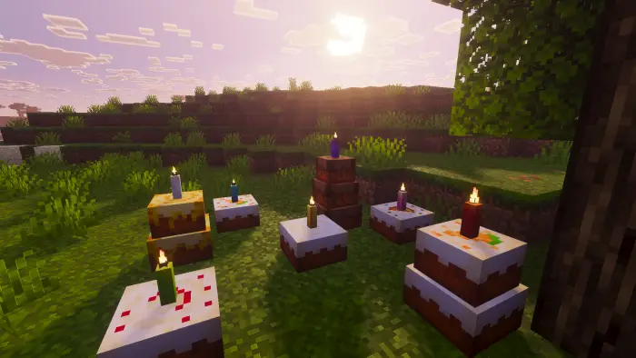 Cakes with candles on grass at sunset