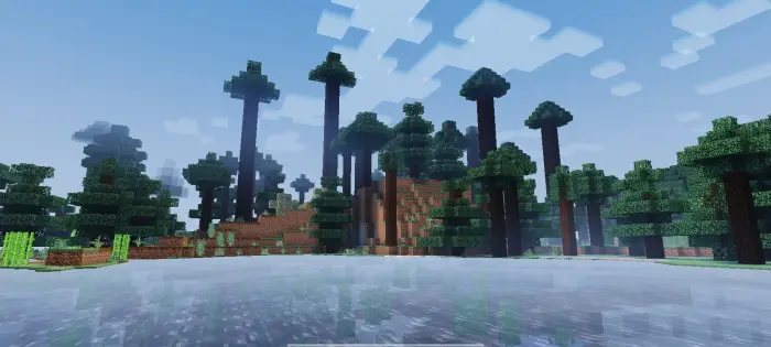 Soft-lit forest by a reflective lake